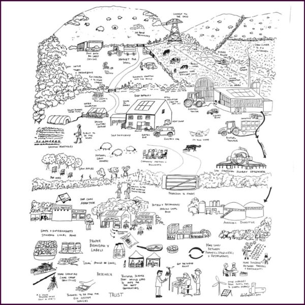 Drawing of farmers' visions of future farming in Ireland