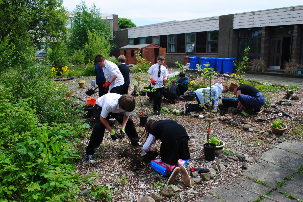 A group of school children gardening.