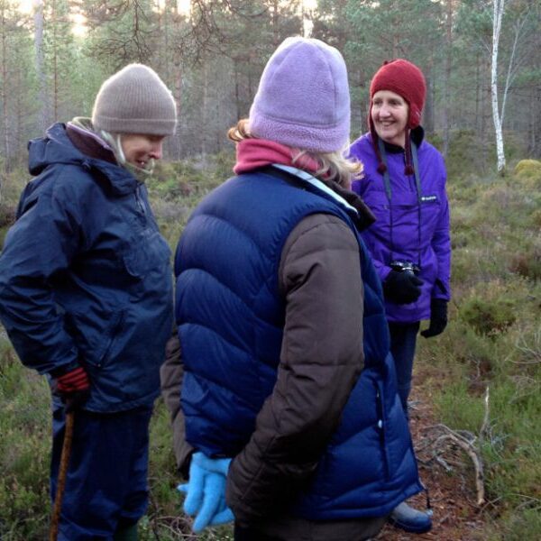 Three people in winter clothing walking in a forest.