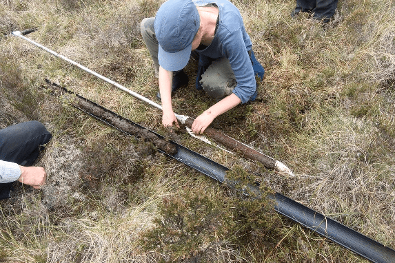 Person crouched in the peat, looking at a core sample of peat.