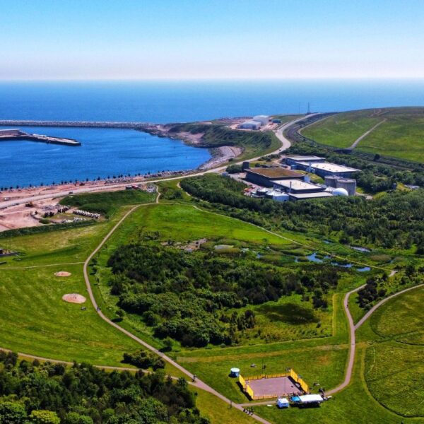 Aerial view of a coastal park
