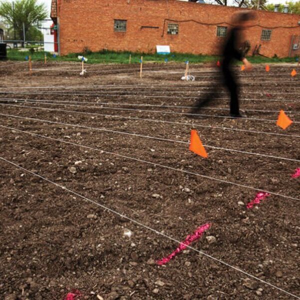 Field of dirt with twine strung over the top, with marking flags.