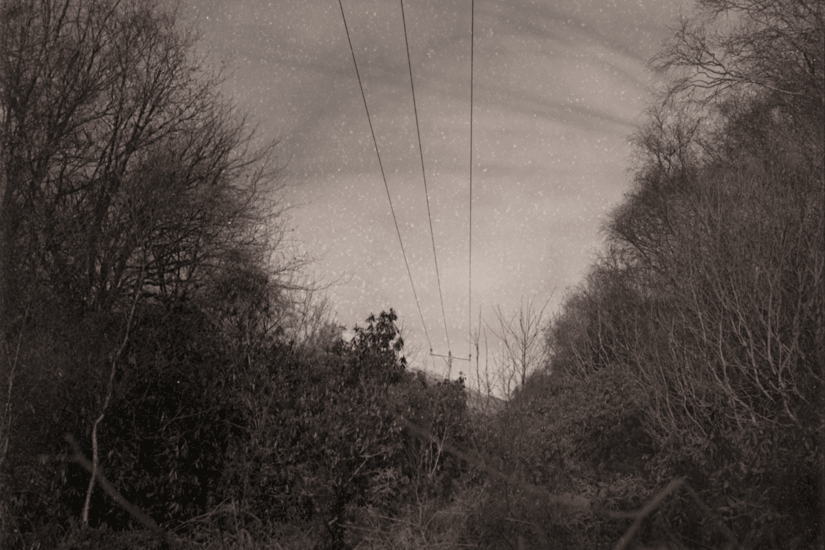 Wooded landscape with pylon.